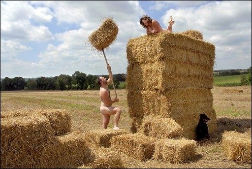 2014, l'an fourche au champ