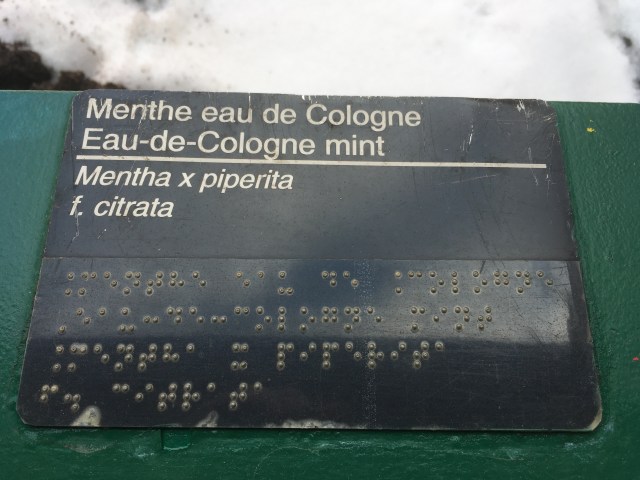 Manteau de Cologne